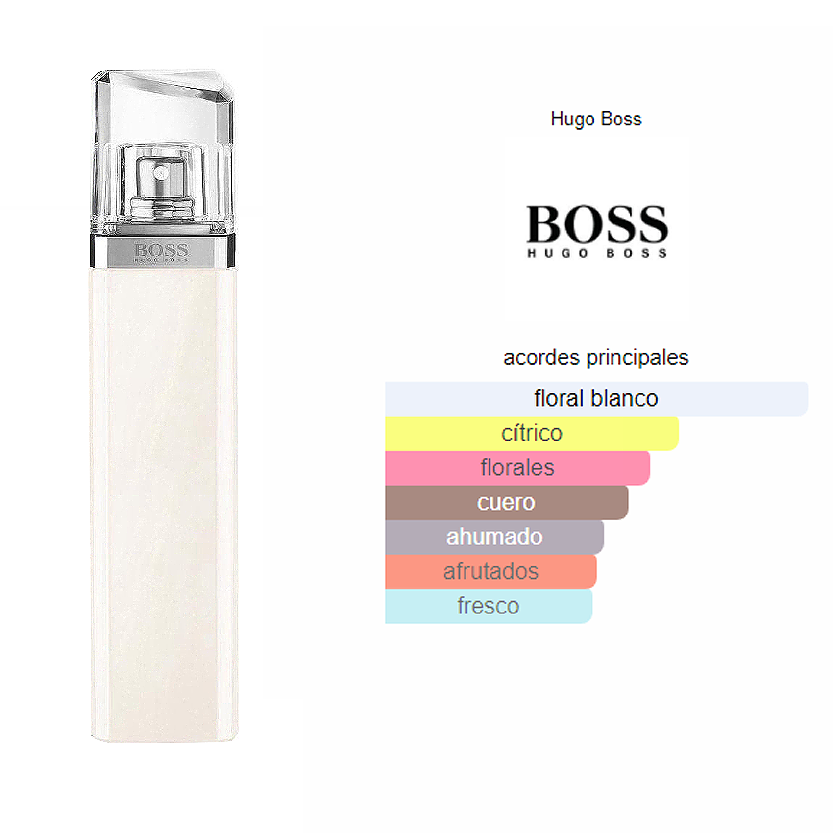 Hugo boss store vector unitario