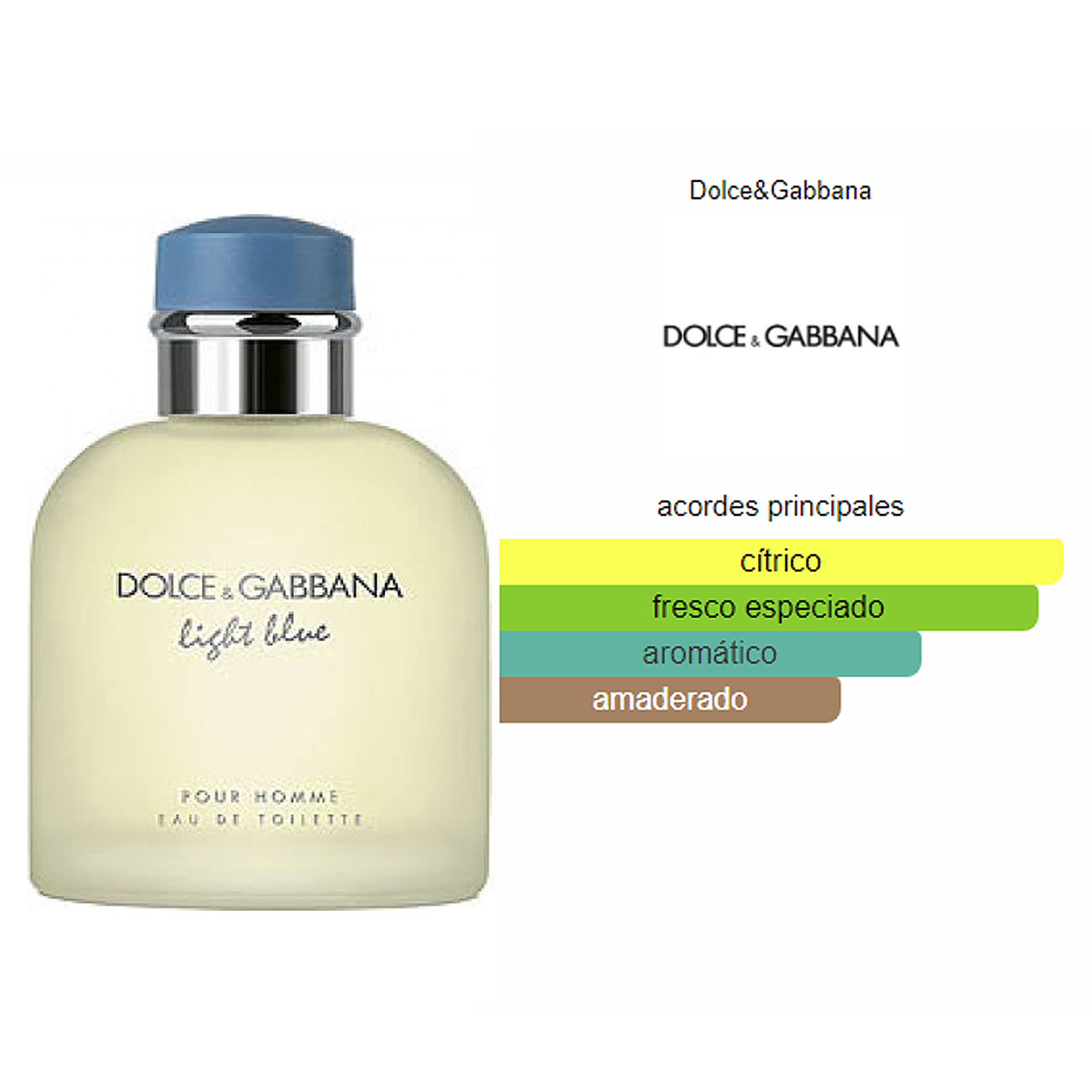 Light blue dolce & gabbana hombre precio hotsell