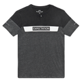 Playera De Hombre Casual Diseños Marca Silver Plate® GRIS